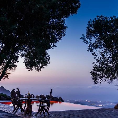 Historic Canarian House, Private Heated Infinity Pool, Bbq, Wifi + Panoramic Ocean Views 阿罗纳 外观 照片